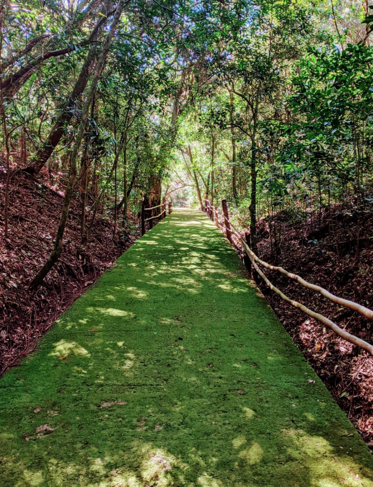Vila Ventura Ecoresort Viamao Ngoại thất bức ảnh